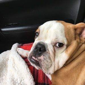 Meet your Posher, Jen